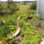 Esterbauer Homes, Gewoelbe Wohnung 4P, Moderne Stadel Loft 4P Und Generationen Farmhaus 9P In Ruhiger Alleinlage Mit Schwimmteich Am Hof Neuberg 아파트 *