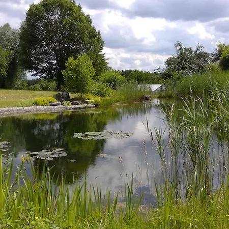 Esterbauer Homes, Gewoelbe 4p, Moderne Stadel Loft 4p Und Generationen Farmhaus 9p In Ruhiger Alleinlage Mit Schwimmteich Am Hof Neuberg 아파트 *