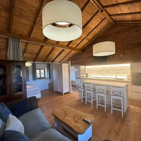 아파트 Esterbauer Homes, Gewoelbe 4p, Moderne Stadel Loft 4p Und Generationen Farmhaus 9p In Ruhiger Alleinlage Mit Schwimmteich Am Hof Neuberg Niedertaufkirchen