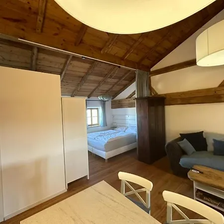 아파트 Esterbauer Homes, Gewoelbe 4p, Moderne Stadel Loft 4p Und Generationen Farmhaus 9p In Ruhiger Alleinlage Mit Schwimmteich Am Hof Neuberg