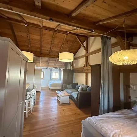 아파트 Esterbauer Homes, Gewoelbe 4p, Moderne Stadel Loft 4p Und Generationen Farmhaus 9p In Ruhiger Alleinlage Mit Schwimmteich Am Hof Neuberg