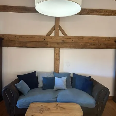Esterbauer Homes, Gewoelbe 4p, Moderne Stadel Loft 4p Und Generationen Farmhaus 9p In Ruhiger Alleinlage Mit Schwimmteich Am Hof Neuberg Apartmán